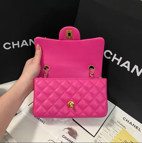 2026127205647444 380